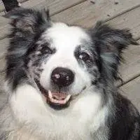 susan